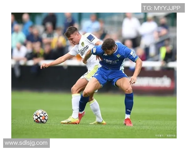 伯明翰与利兹联精彩对决直播全程回顾与赛后分析 伯明翰与利兹联精彩对决直播全程回顾与赛后分析