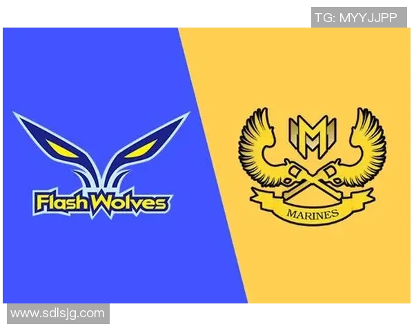 弗赖堡与多特蒙特精彩对决直播全程回顾与分析