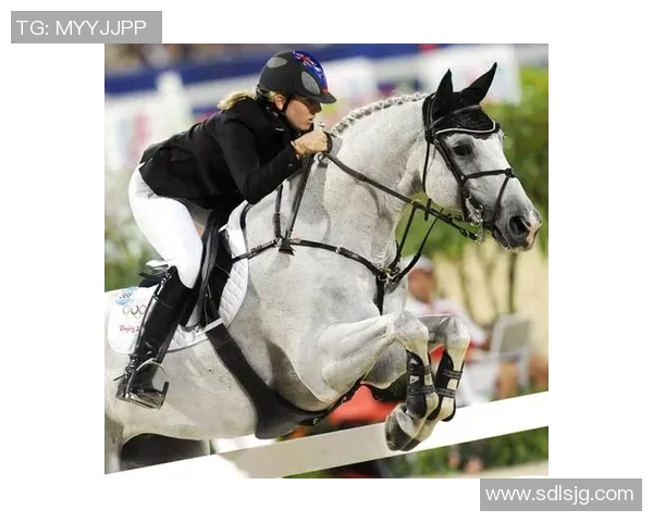 阿雅与布尔格2017年对决精彩回顾与赛后分析