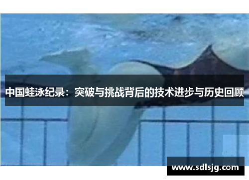 中国蛙泳纪录：突破与挑战背后的技术进步与历史回顾