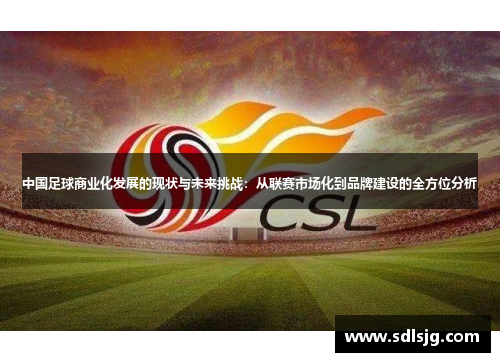 中国足球商业化发展的现状与未来挑战：从联赛市场化到品牌建设的全方位分析
