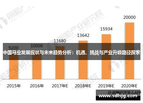中国马业发展现状与未来趋势分析：机遇、挑战与产业升级路径探索