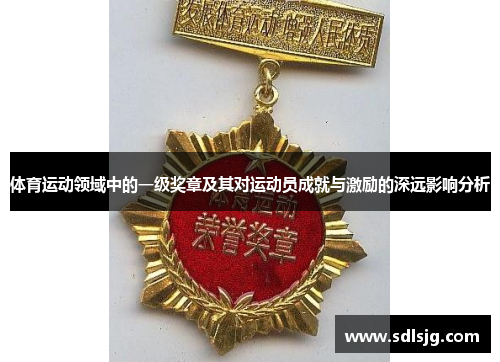 体育运动领域中的一级奖章及其对运动员成就与激励的深远影响分析