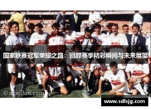 国家联赛冠军荣耀之路：回顾赛季精彩瞬间与未来展望