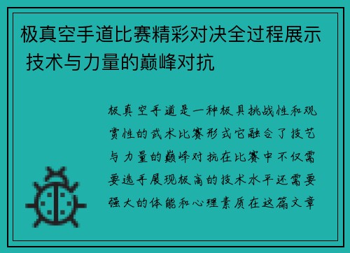 极真空手道比赛精彩对决全过程展示 技术与力量的巅峰对抗