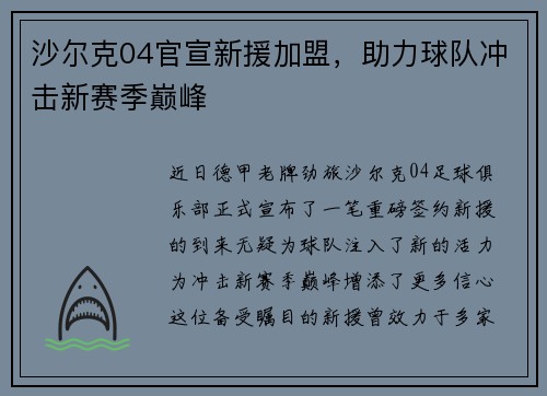 沙尔克04官宣新援加盟，助力球队冲击新赛季巅峰